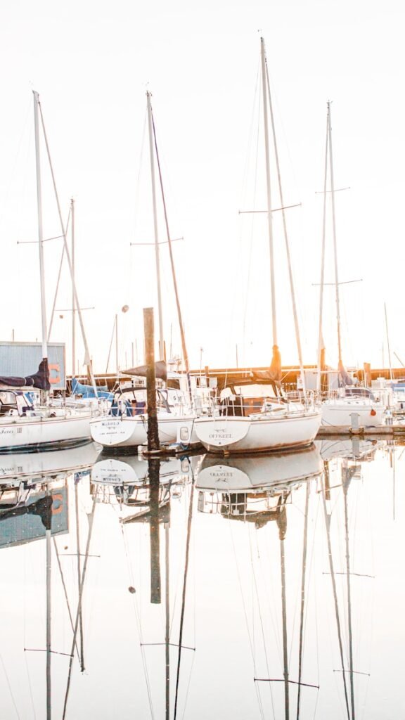 A bunch of boats that are sitting in the water