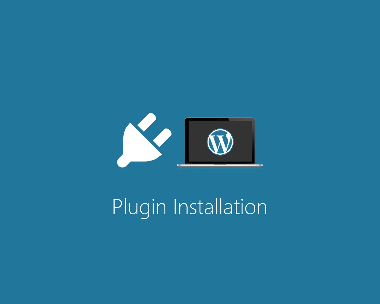 WP Plugin Installation