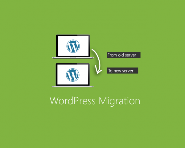 WP Migration, Transfer or Clone Service