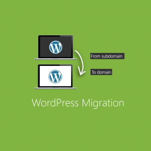 WP Migration, Transfer or Clone Service